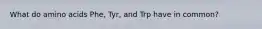 What do amino acids Phe, Tyr, and Trp have in common?