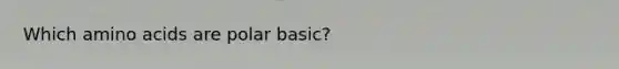 Which amino acids are polar basic?