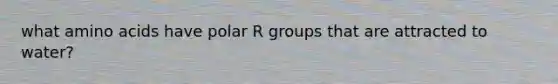 what <a href='https://www.questionai.com/knowledge/k9gb720LCl-amino-acids' class='anchor-knowledge'>amino acids</a> have polar R groups that are attracted to water?