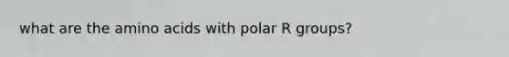 what are the amino acids with polar R groups?