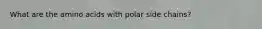 What are the amino acids with polar side chains?