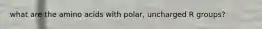 what are the amino acids with polar, uncharged R groups?