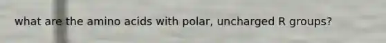 what are the amino acids with polar, uncharged R groups?