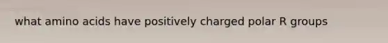 what amino acids have positively charged polar R groups