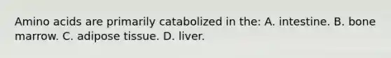 Amino acids are primarily catabolized in the: A. intestine. B. bone marrow. C. adipose tissue. D. liver.