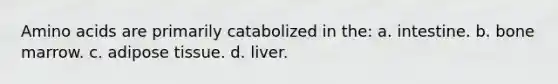 Amino acids are primarily catabolized in the: a. intestine. b. bone marrow. c. adipose tissue. d. liver.