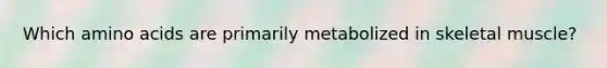 Which amino acids are primarily metabolized in skeletal muscle?