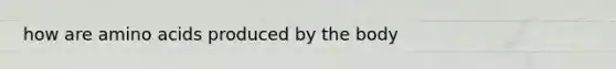 how are amino acids produced by the body