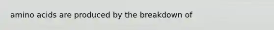 amino acids are produced by the breakdown of