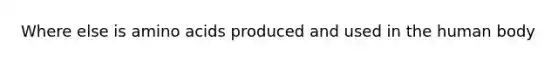 Where else is amino acids produced and used in the human body