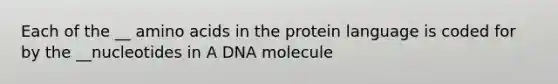 Each of the __ amino acids in the protein language is coded for by the __nucleotides in A DNA molecule