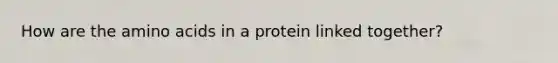 How are the amino acids in a protein linked together?