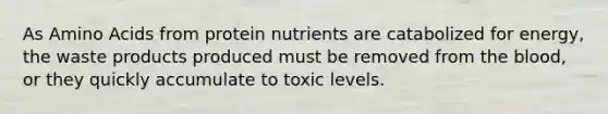 As Amino Acids from protein nutrients are catabolized for energy, the waste products produced must be removed from the blood, or they quickly accumulate to toxic levels.