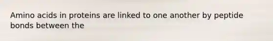 Amino acids in proteins are linked to one another by peptide bonds between the