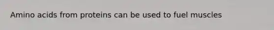 Amino acids from proteins can be used to fuel muscles