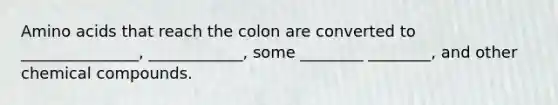 Amino acids that reach the colon are converted to _______________, ____________, some ________ ________, and other chemical compounds.