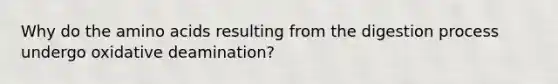 Why do the <a href='https://www.questionai.com/knowledge/k9gb720LCl-amino-acids' class='anchor-knowledge'>amino acids</a> resulting from the digestion process undergo oxidative deamination?