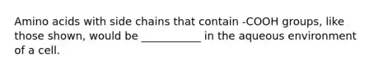 Amino acids with side chains that contain -COOH groups, like those shown, would be ___________ in the aqueous environment of a cell.