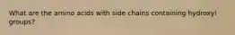 What are the amino acids with side chains containing hydroxyl groups?