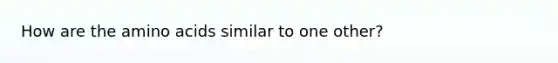 How are the amino acids similar to one other?