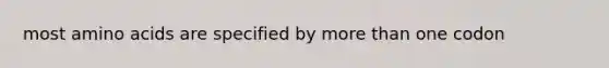 most <a href='https://www.questionai.com/knowledge/k9gb720LCl-amino-acids' class='anchor-knowledge'>amino acids</a> are specified by <a href='https://www.questionai.com/knowledge/keWHlEPx42-more-than' class='anchor-knowledge'>more than</a> one codon