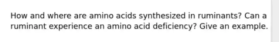 How and where are amino acids synthesized in ruminants? Can a ruminant experience an amino acid deficiency? Give an example.