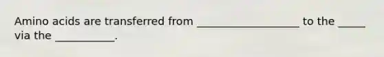 Amino acids are transferred from ___________________ to the _____ via the ___________.