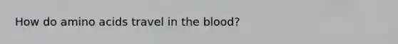 How do amino acids travel in the blood?