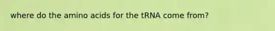 where do the amino acids for the tRNA come from?