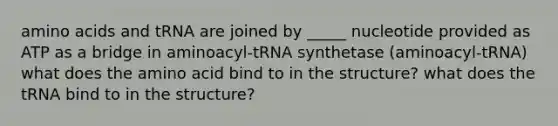 amino acids and tRNA are joined by _____ nucleotide provided as ATP as a bridge in aminoacyl-tRNA synthetase (aminoacyl-tRNA) what does the amino acid bind to in the structure? what does the tRNA bind to in the structure?