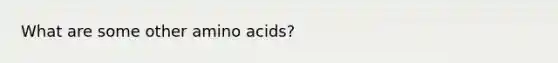 What are some other amino acids?