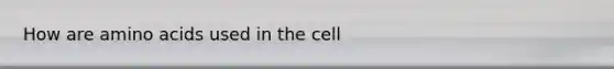 How are <a href='https://www.questionai.com/knowledge/k9gb720LCl-amino-acids' class='anchor-knowledge'>amino acids</a> used in the cell