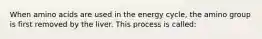 When amino acids are used in the energy cycle, the amino group is first removed by the liver. This process is called: