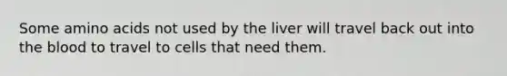 Some amino acids not used by the liver will travel back out into the blood to travel to cells that need them.