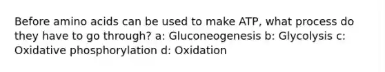 Before amino acids can be used to make ATP, what process do they have to go through? a: Gluconeogenesis b: Glycolysis c: Oxidative phosphorylation d: Oxidation