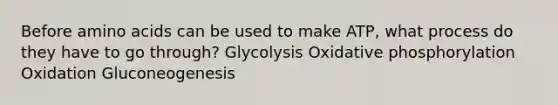 Before amino acids can be used to make ATP, what process do they have to go through? Glycolysis Oxidative phosphorylation Oxidation Gluconeogenesis