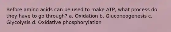 Before amino acids can be used to make ATP, what process do they have to go through? a. Oxidation b. Gluconeogenesis c. Glycolysis d. Oxidative phosphorylation