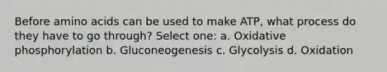 Before amino acids can be used to make ATP, what process do they have to go through? Select one: a. Oxidative phosphorylation b. Gluconeogenesis c. Glycolysis d. Oxidation