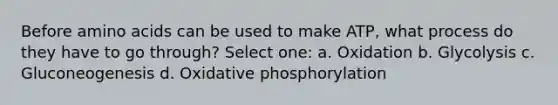 Before amino acids can be used to make ATP, what process do they have to go through? Select one: a. Oxidation b. Glycolysis c. Gluconeogenesis d. Oxidative phosphorylation