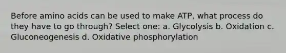 Before amino acids can be used to make ATP, what process do they have to go through? Select one: a. Glycolysis b. Oxidation c. Gluconeogenesis d. Oxidative phosphorylation