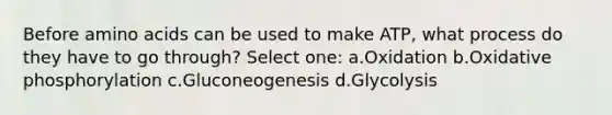 Before amino acids can be used to make ATP, what process do they have to go through? Select one: a.Oxidation b.Oxidative phosphorylation c.Gluconeogenesis d.Glycolysis