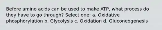 Before amino acids can be used to make ATP, what process do they have to go through? Select one: a. Oxidative phosphorylation b. Glycolysis c. Oxidation d. Gluconeogenesis