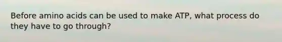 Before amino acids can be used to make ATP, what process do they have to go through?