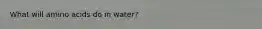 What will amino acids do in water?