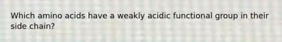 Which amino acids have a weakly acidic functional group in their side chain?