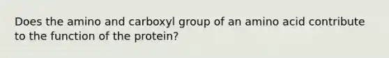 Does the amino and carboxyl group of an amino acid contribute to the function of the protein?