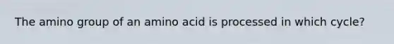 The amino group of an amino acid is processed in which cycle?