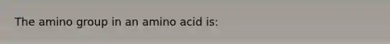 The amino group in an amino acid is: