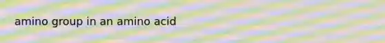 amino group in an amino acid