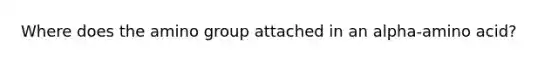 Where does the amino group attached in an alpha-amino acid?